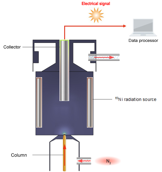 Electron Capture Detectors