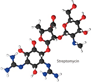 LC/MS/MS Method Package for Aminoglycoside Antibiotics