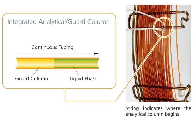 Integrated Analytical/Guard Column