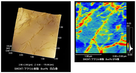 SWCNT/acrylic resin 8 wt% topographic image,SWCNT/acrylic resin 8 wt% EFM image