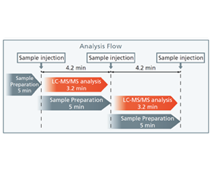 Analysis Flow