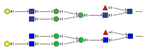 Structures of 44100a_ER_Ch3 (top) and 44100b_ER_Ch3 (bottom)