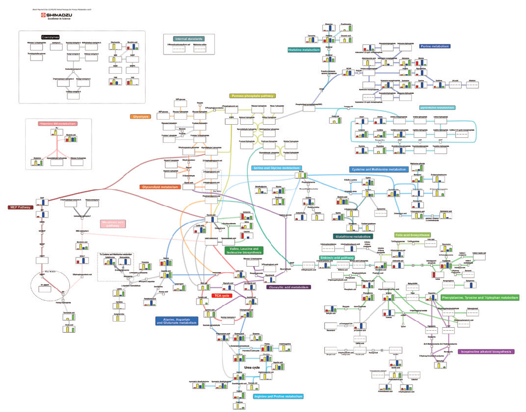 Using the Primary Metabolites Method Package for Comprehensive Analysis of E. Coli, Yeast Extracts, and Culture Supernatants