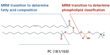 Phospholipid Profiling