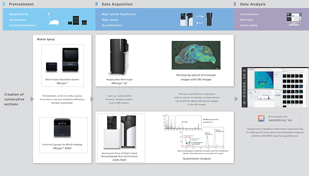 Key Points for MS Imaging