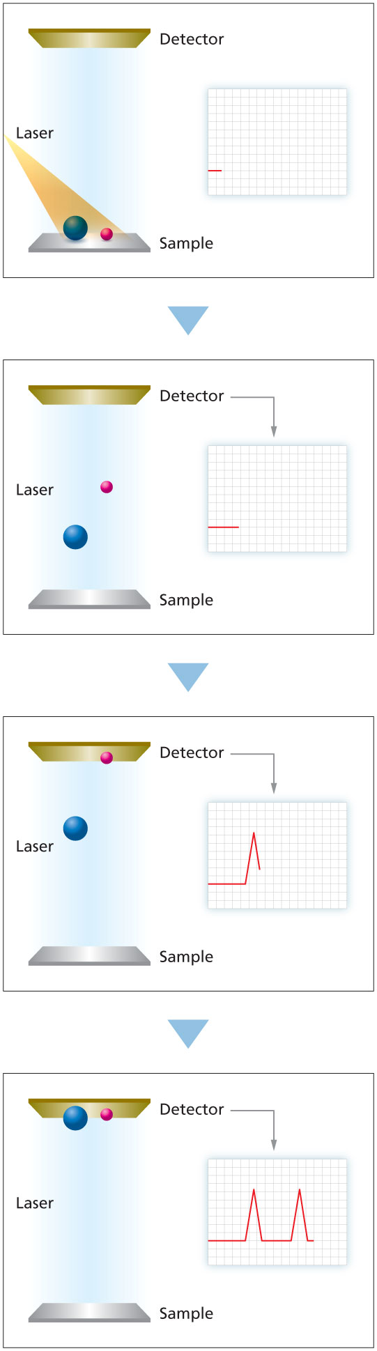 Principle of MALDI