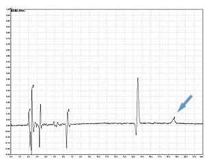 PPSQ-31B/33B