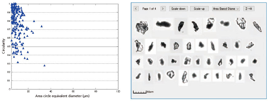 Evaluation of Paint Particles Dispersed in Organic Solvent