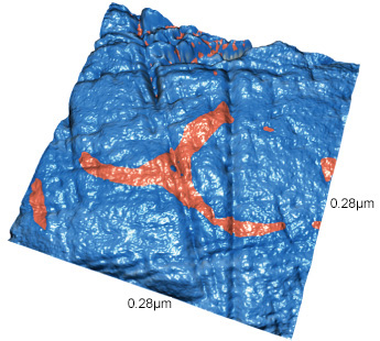 Surface Shape + Amplitude