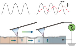 Piezoelectric Force Mode (PFM)