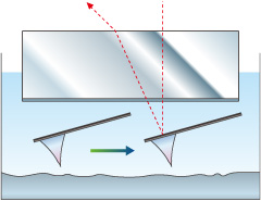 Observation in Liquid