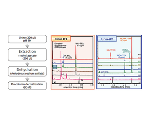 On-Column Derivatization GC-MS System