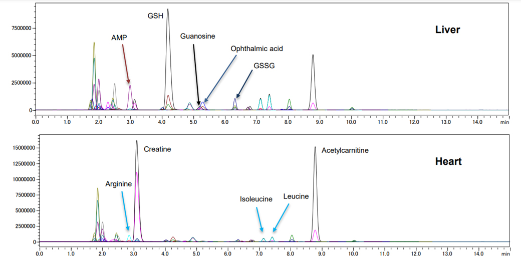 Fig. 1: MRM chromatograms for 97 primary metabolites, Upper: Liver, Lower: Heart